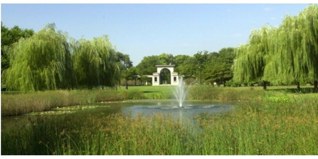 Perfect Place To Enjoy The City Or Just Relax Chicago Bagian luar foto